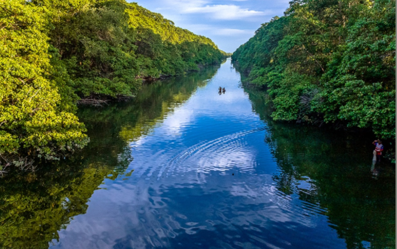 Ecoturismo no Entorno- Visite o Parque do Cocó e Explore Trilhas Naturais
